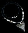 Megalodon Tooth Necklace #5094-1